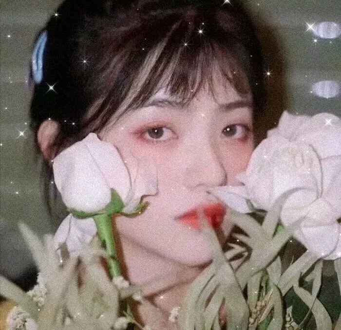 演员赵丽