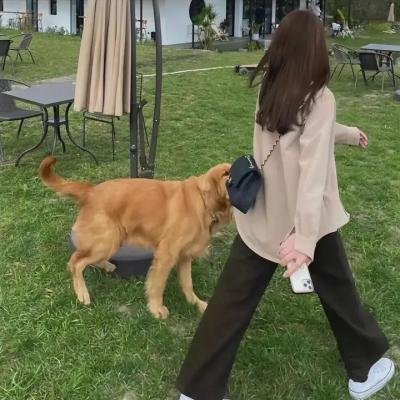 安